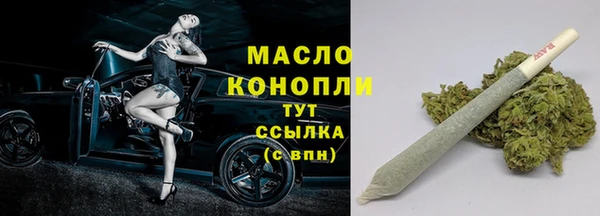 Альфа ПВП Бородино
