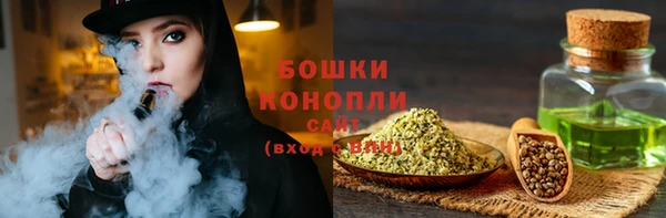 Альфа ПВП Бородино