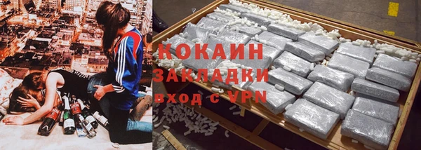 Альфа ПВП Бородино