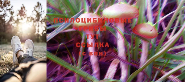 гашик Бугульма