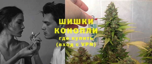 Альфа ПВП Бородино