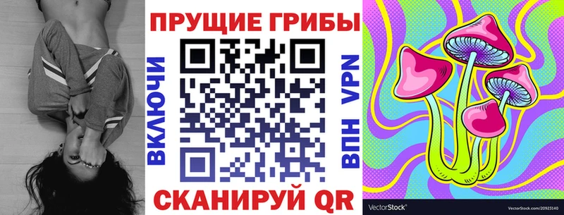 Псилоцибиновые грибы Magic Shrooms  Купить  Сокол 